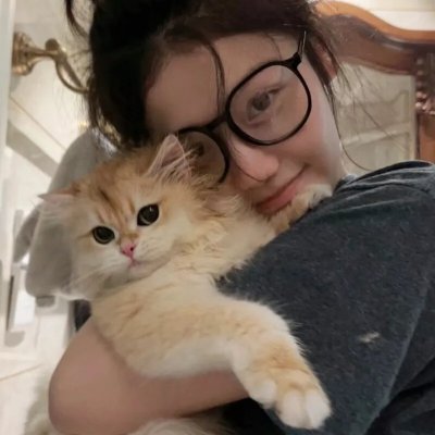 怪猫
